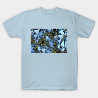 treasure eyes T-Shirt